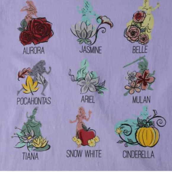 NWT Disney Princess Tee - Picture 2 of 3